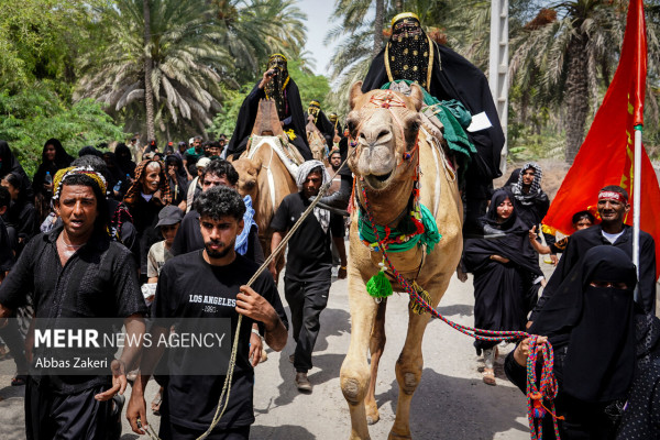 مراسم جاماندگان اربعین در میناب